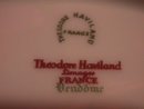 Theodore Haviland