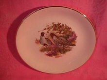 Royal Falcon Ware Game Birds Lunch Plate (Quail)