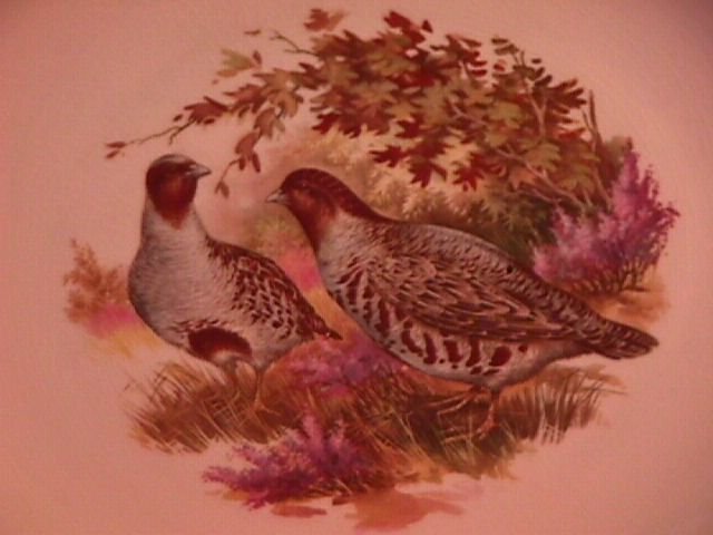 Royal Falcon Ware Game Birds Lunch Plate (Quail)