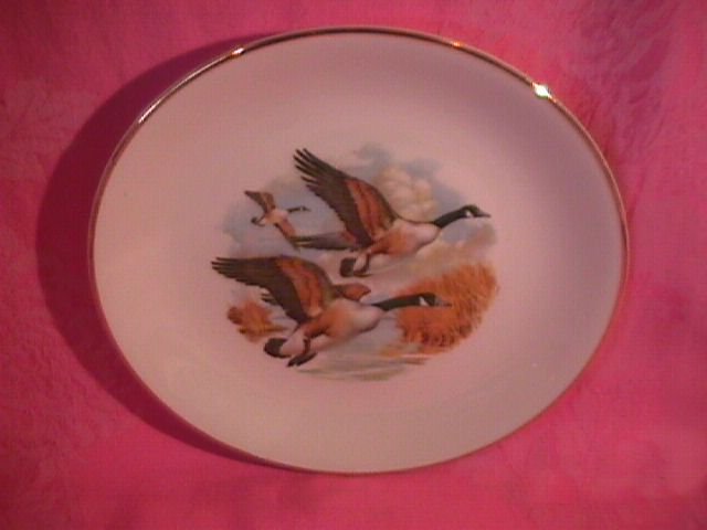 Royal Falcon Ware Game Birds Lunch Plate (Canadian Honkers in Flight)