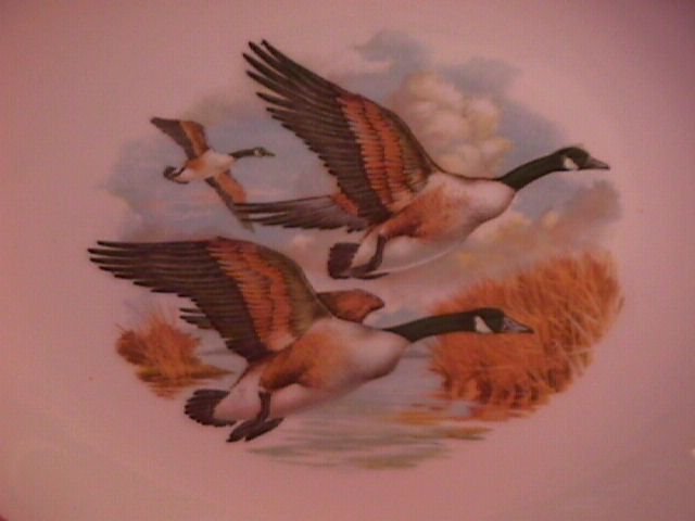 Royal Falcon Ware Game Birds Lunch Plate (Canadian Honkers in Flight)