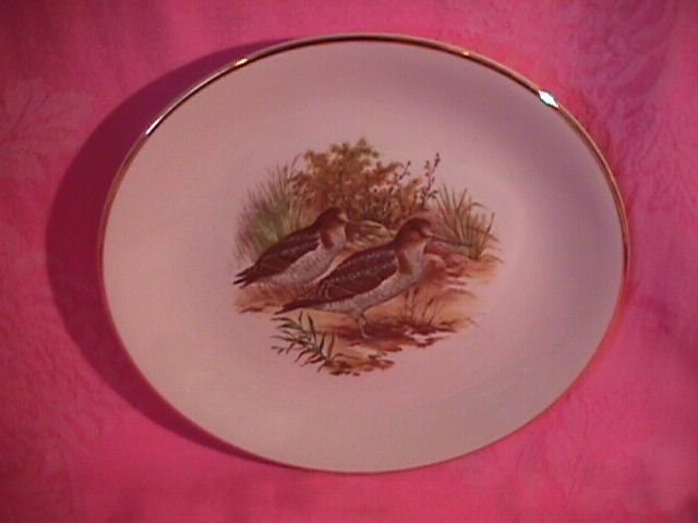 Royal Falcon Ware Game Birds Lunch Plate (Woodcock)
