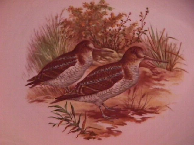 Royal Falcon Ware Game Birds Lunch Plate (Woodcock)
