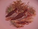 Royal Falcon Ware Game Birds Lunch Plate (Woodcock)