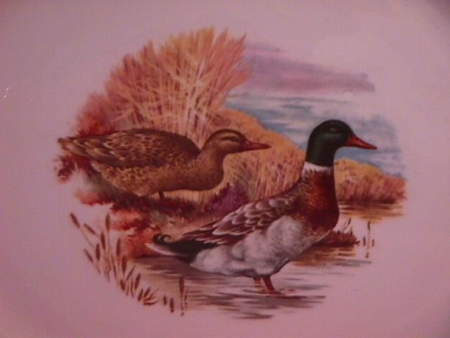 Lafisa China Gamebirds