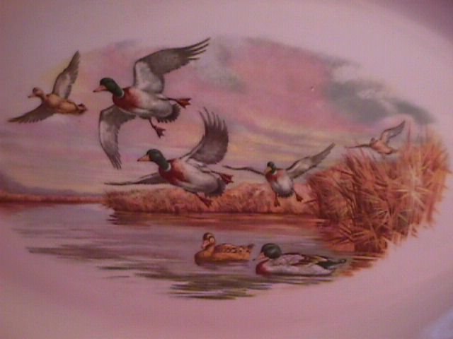 Lafisa China Gamebirds