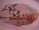 Lafisa China Gamebirds