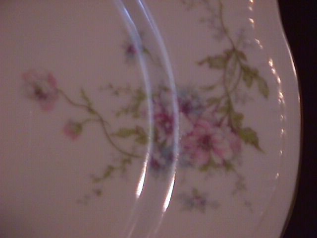 Theodore Haviland