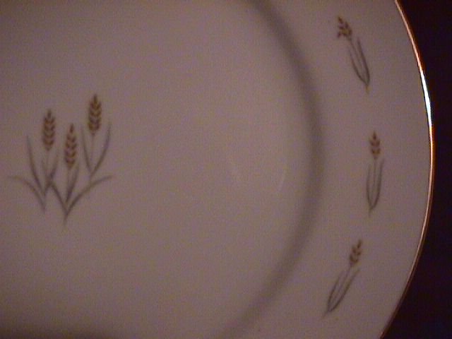 Rose China