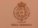 Royal Worcester (Gold Chantilly) Rare=Pasta Bowl