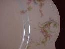 Haviland Porcelain (Schleiger #57-B) Salad Plate