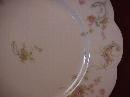Haviland Porcelain (Schleiger #57-B) Salad Plate As Is