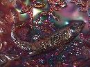 Beautiful Millersburg (Big Fish) Bowl (Amethyst)