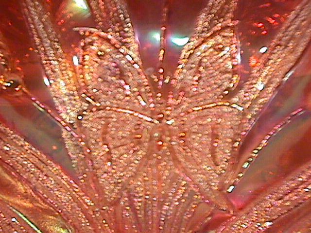 Dugan Carnival Glass (Butterfly & Tulip) Bowl (Marigold)