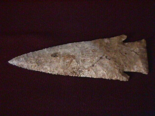 ARROW HEAD / HARDIN BARBED BLADE