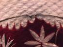 Cranberry Cut To Clear Claret & Cordial