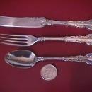 International Silver Plate (New Century) Youth Set