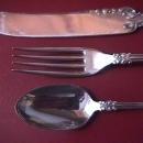 International Silver Plate (New Century) Youth Set