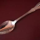Oneida-Wm. A. Rogers Silver Plate (Chalice) Tablespoon