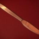 Amboss 18/8 Stainless (Modern) Dinner Knife