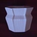 Belleek Porcelain (Fan Membership Bowl)