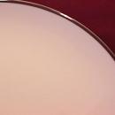 Royal Song Fine China (Simplicity) Dinner Plate