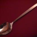 Oneida Ltd. 1881 Rogers Stainless (Melissa AKA Carol) Place Spoon