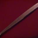 Oneida Ltd. 1881 Rogers Stainless (Melissa AKA Carol) Place Spoon