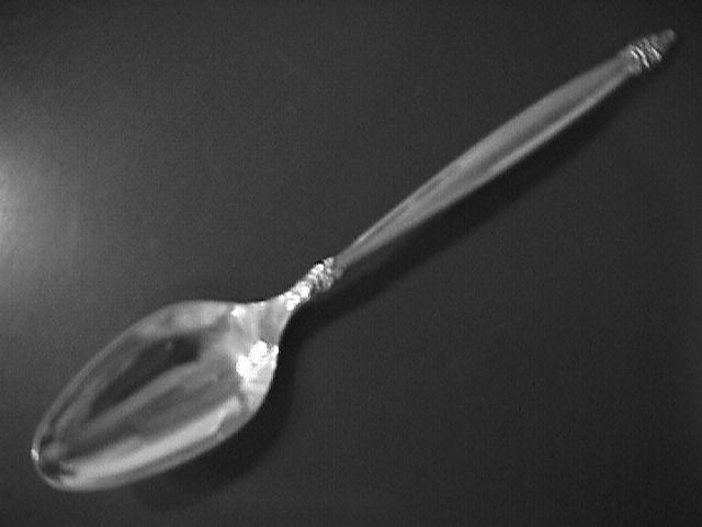 International 1847 Rogers Silver Plate (Garlalnd) Place Spoon