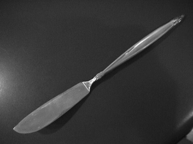 International 1847 Rogers Silver Plate (Garland) Master Butter Knife