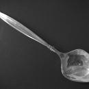 International 1847 Rogers Silver Plate (Garland) Sugar Shell