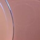 Franciscan Fine China (Claremont) Oval Vegetable