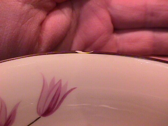 Franciscan Fine China (Claremont) Large Oval Vegetable