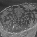 Cambridge Crystal (Rosepoint #3400-68) Creamer