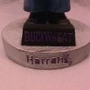 Buckwheat