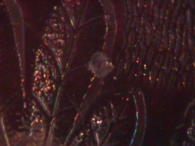 Fenton Carnival Glass (Orange Tree) Master Berry Bowl=White