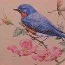 Lenox China (Summer Greetings) Dinner Plate=Eastern Bluebird