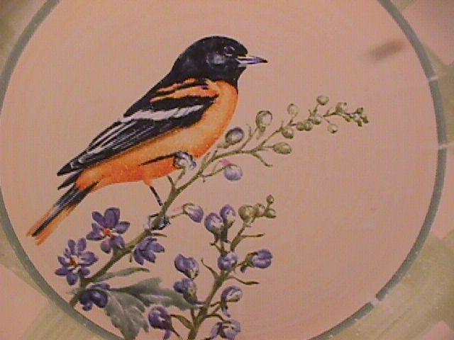 Lenox China (Summer Greetings) Dinner Plate=Baltimore Oriole