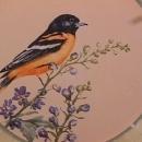 Lenox China (Summer Greetings) Dinner Plate=Baltimore Oriole