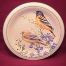 Lenox China (Summer Greetings) Salad Plate=Baltimore Oriole
