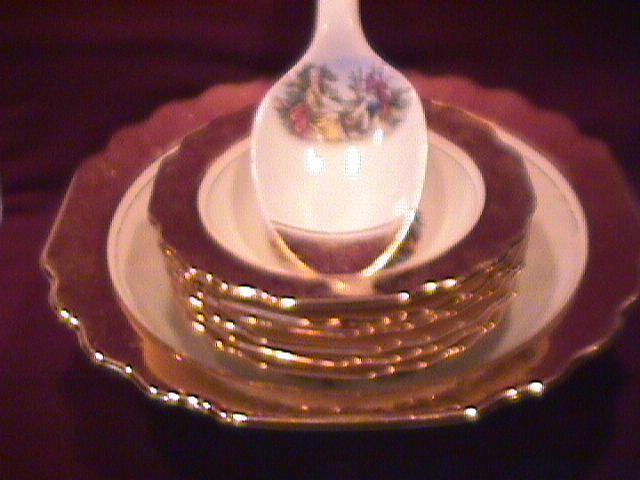 W. S. George/Dorlexa China Complete Berry Set with Spoon
