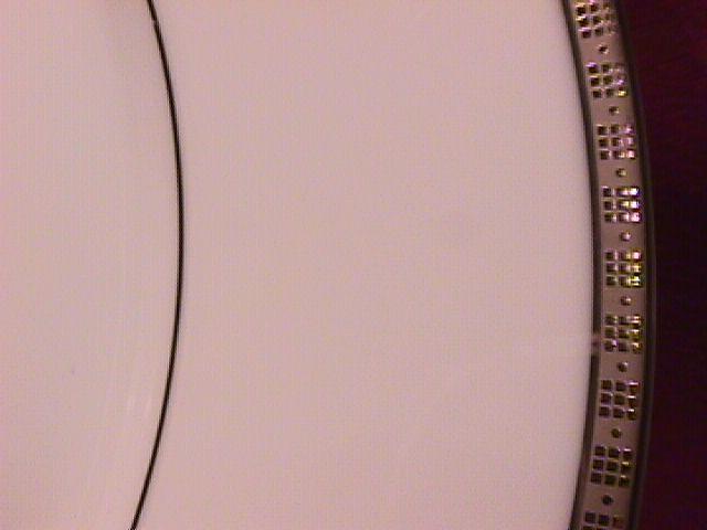 Hotel Living Fine China (Metro Platinum) Dinner Plate