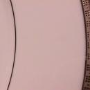 Hotel Living Fine China (Metro Platinum) Dinner Plate
