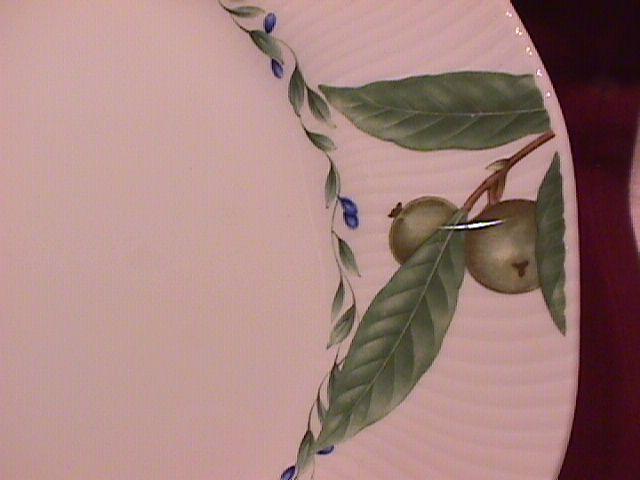 Noritake Impromptu Fine Porcelain (Forest Park) #4358 Dinner Plate