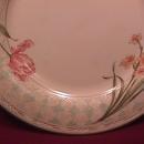 Noritake Casual Stone China (Paradise Valley) #8022 Dinner Plate