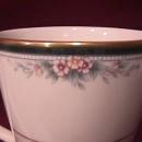 Noritake Fine China ( Landon #4111) Mug