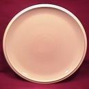 Denby China (Energy) Dinner Plate