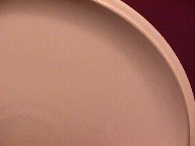 Denby China (Energy) Dinner Plate
