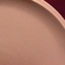 Denby China (Energy) Dinner Plate