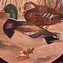 Mallard & Hen, Hand-Painted Porcelain Plate